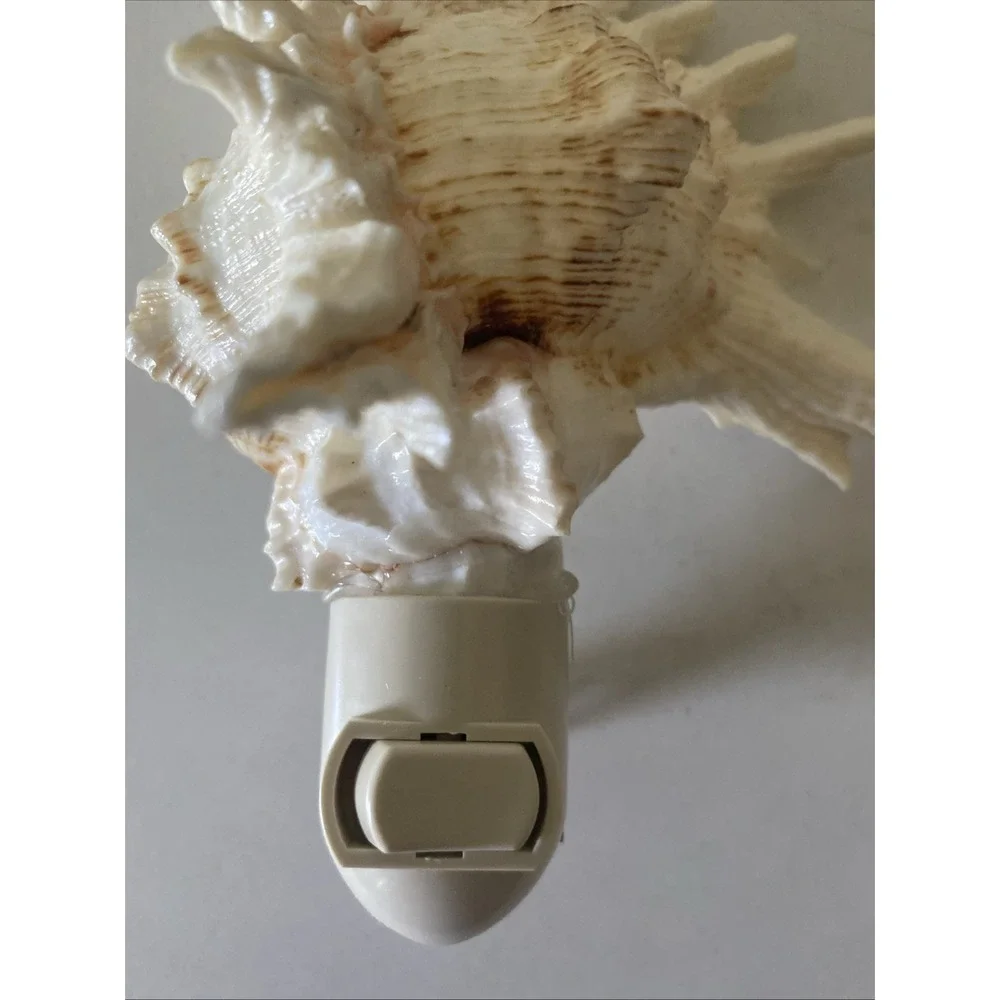 Conch Shell Night Light with Bulb 5
